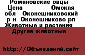 Романовские овцы › Цена ­ 110 000 - Омская обл., Оконешниковский р-н, Оконешниково рп Животные и растения » Другие животные   